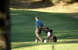 Zelen karta  nutn vbava kadho golfisty?