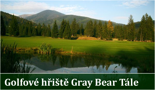 Hit - Golfov hit Gray Bear, Tle 